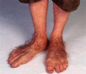 Or, in the absence of shoes, hairy Hobbit feet.